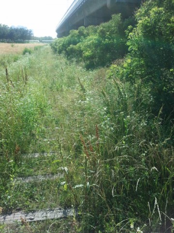 After crossing the water and the roads the track can be found easily. The first few meters after a road only has sleepers (this is true at every crossing), after that the rails start again.