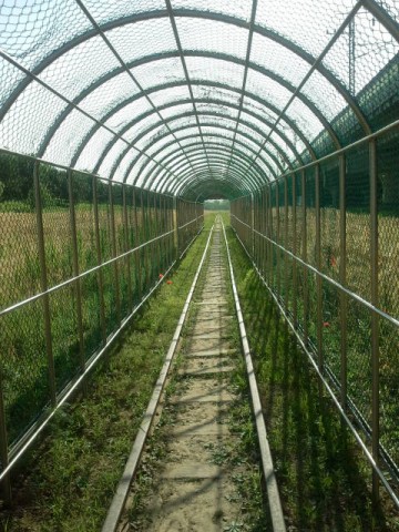 The “tunnel” near the Gwangdeokdaero (광덕대로).