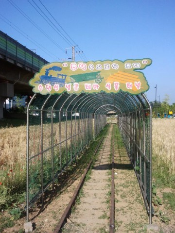 The sign over the “tunnel” at Gwangdeokdaero (광덕대로).