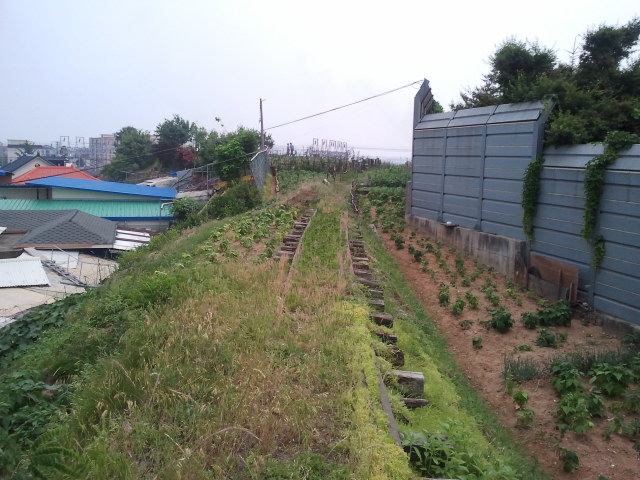 Looking towards the main (standard gauge) railway line on the former track bed in Suwon.