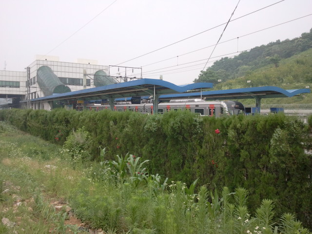 Another view of Oido station, this time towards the station buildings. The area is now a huge garden, used by the local people to grow vegetables.