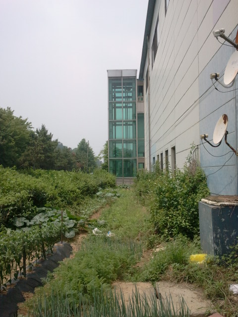 The back of Gongdan (공단) Station, at (4) on the Google map. The tracks should be here, but they were nowhere to be found on this side of the station. View towards the west.
